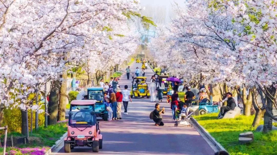 宇通上新季丨大運力超能巴士助力旅游經濟一路“繁花”