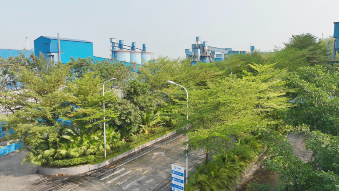 水泥廠變“花園”？華盛水泥的綠色運營之道